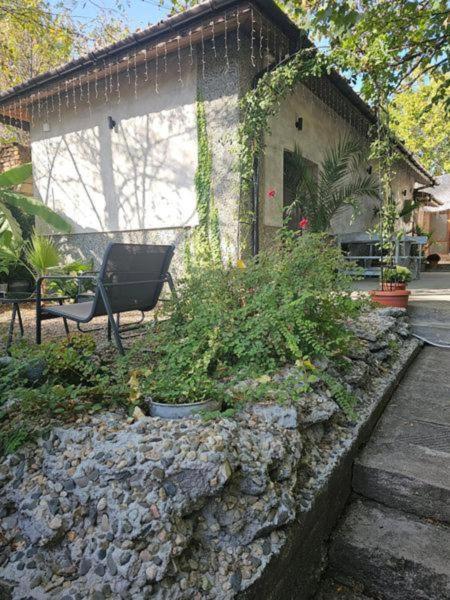 Стаи За Гости Лилия Hisarya Exterior photo